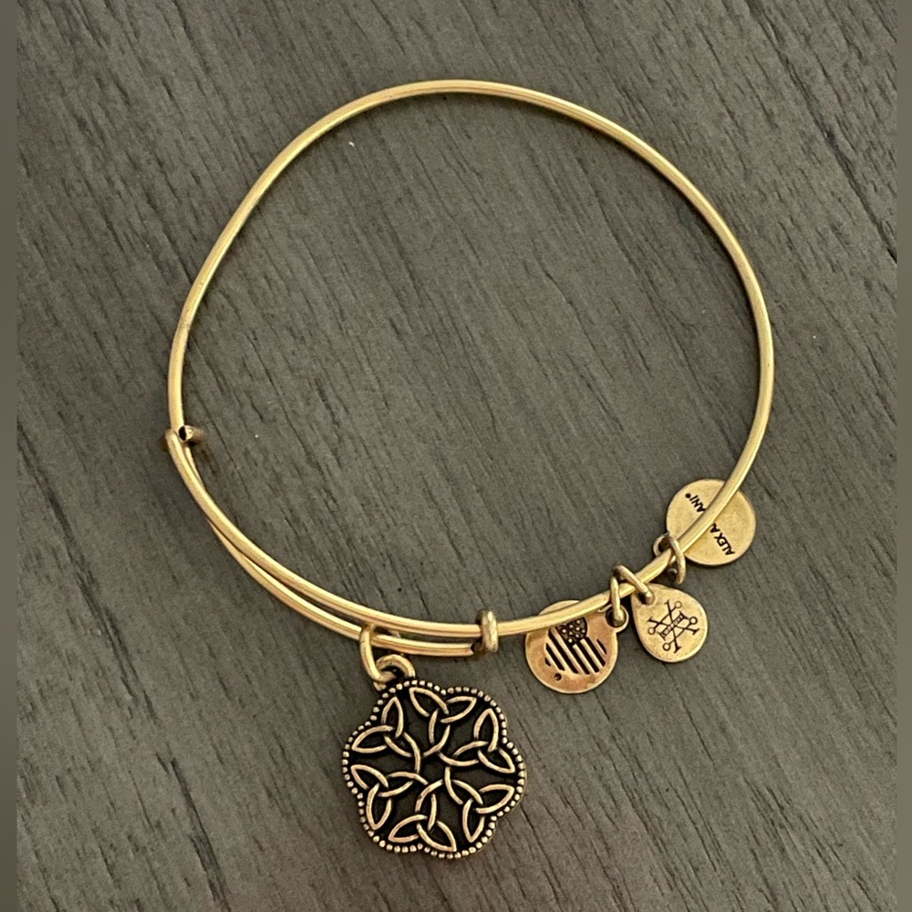 Alex and Ani Bracelet - Gold